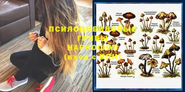 шишки Болхов