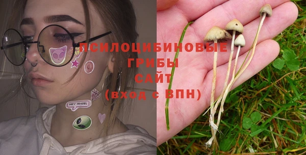 mdpv Бугульма