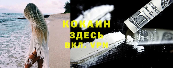 шишки Болхов