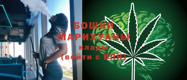 spice Бородино