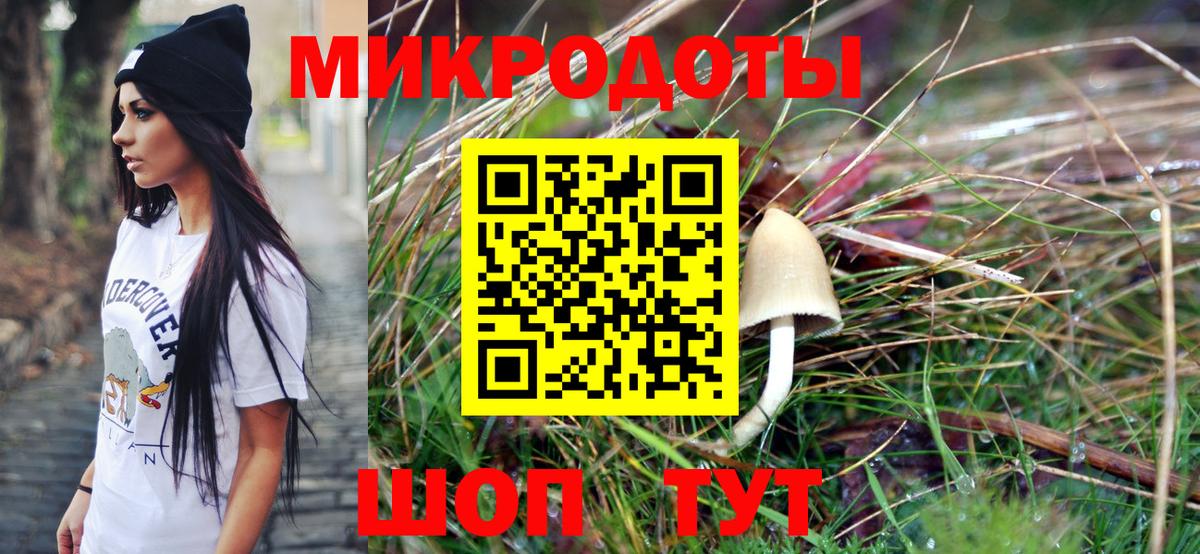 Галлюциногенные грибы мухоморы Зима