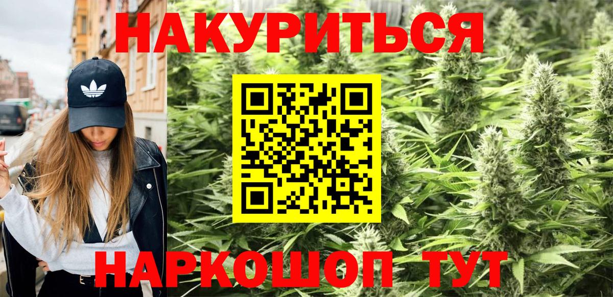 Марихуана гибрид Зима